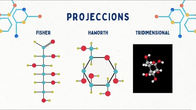 bioVídeo